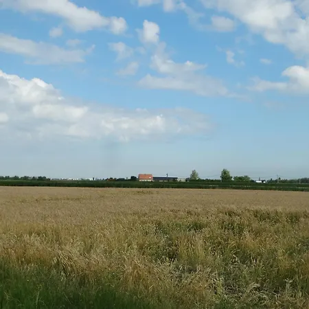 Hébergement de vacances 't Lang Zweerd *