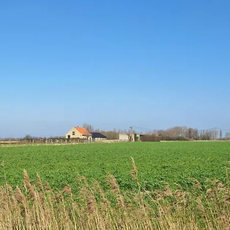 't Lang Zweerd